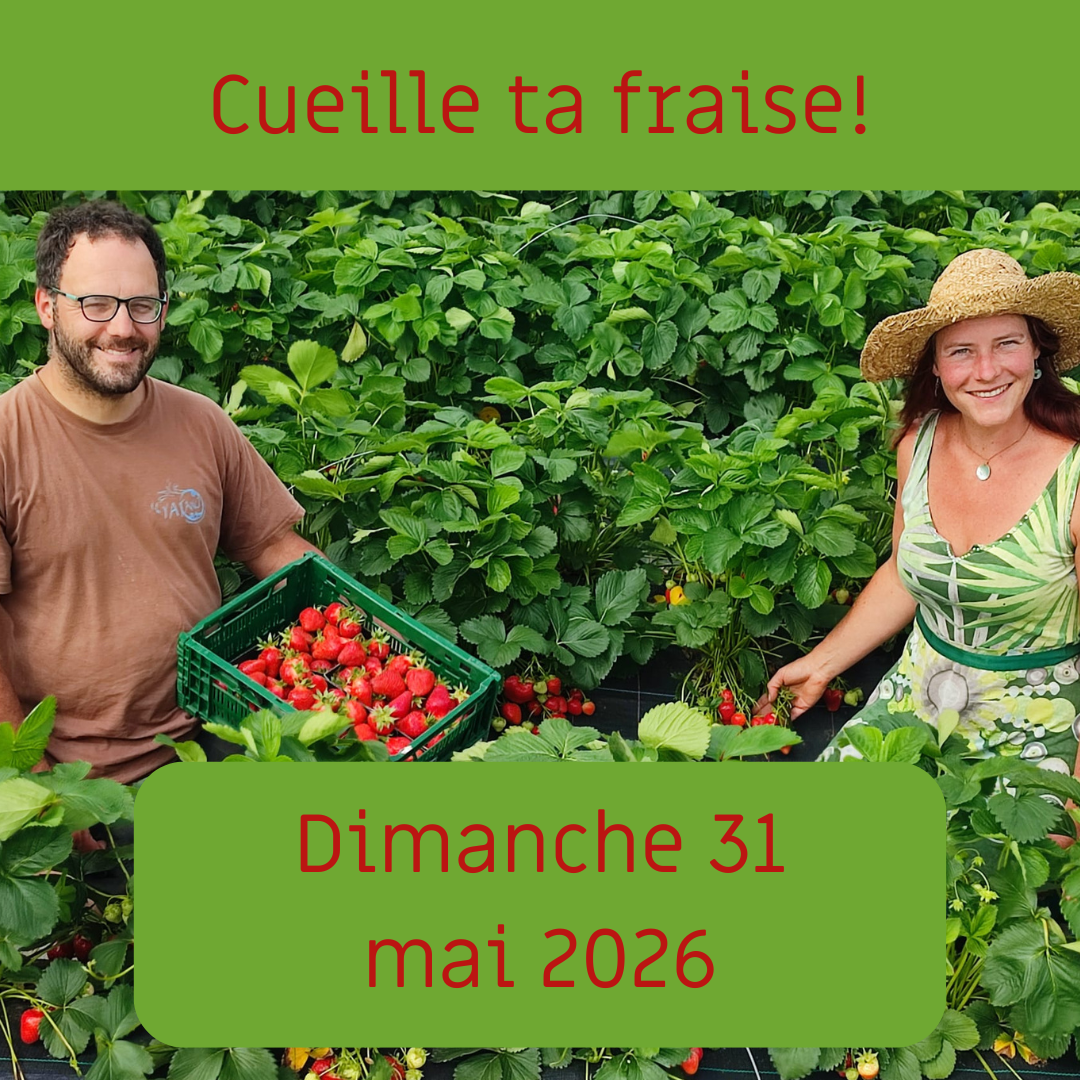 Cueille ta fraise 🍓!