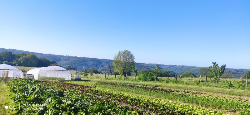 Visite libre de nos champs