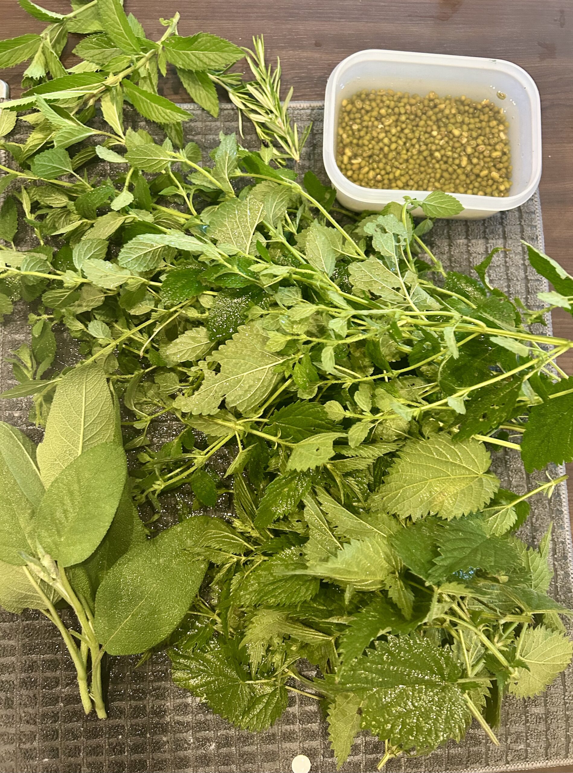 5 recettes de base d’orties !