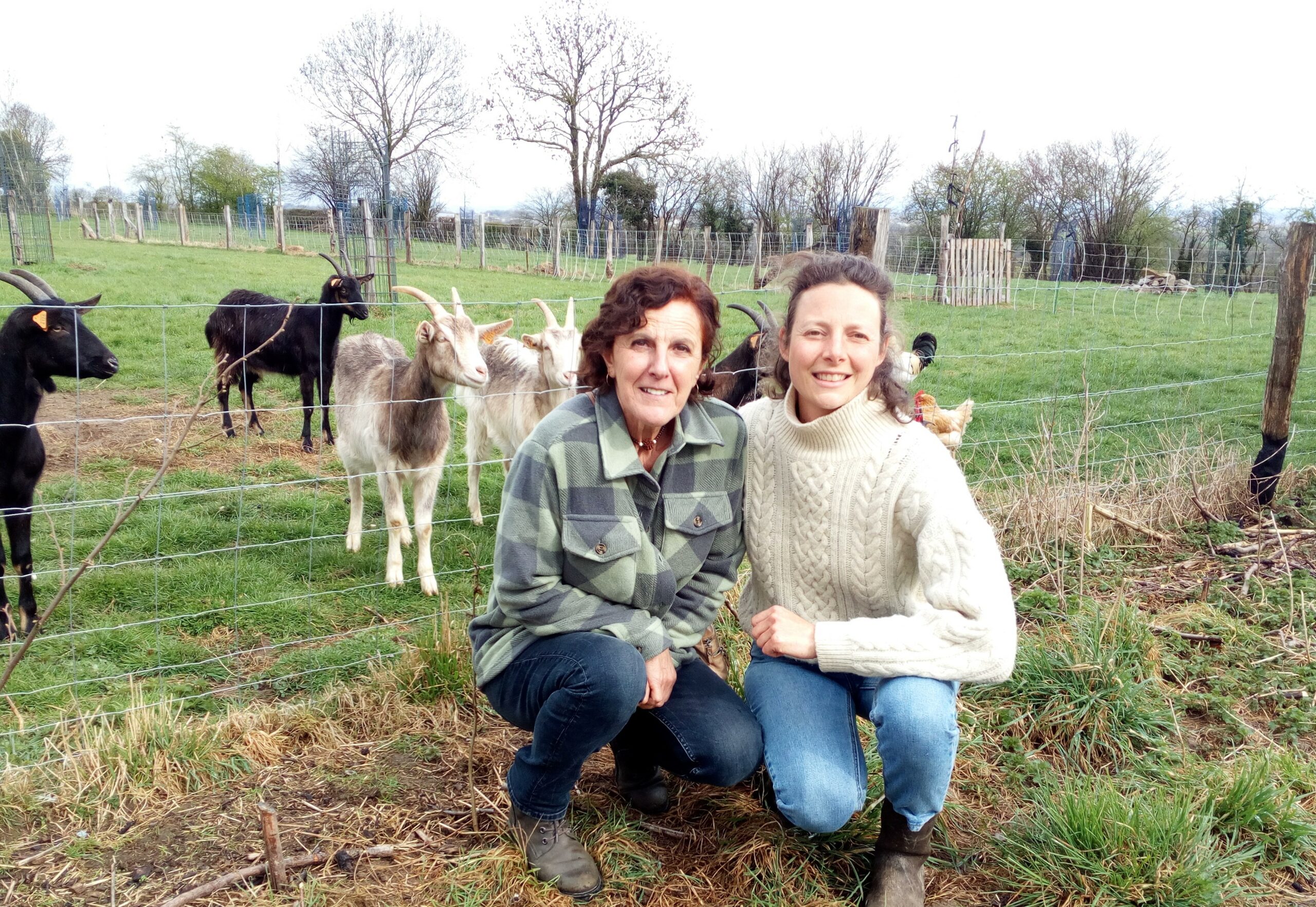 Quand les protéines végétales rencontrent les protéines animales