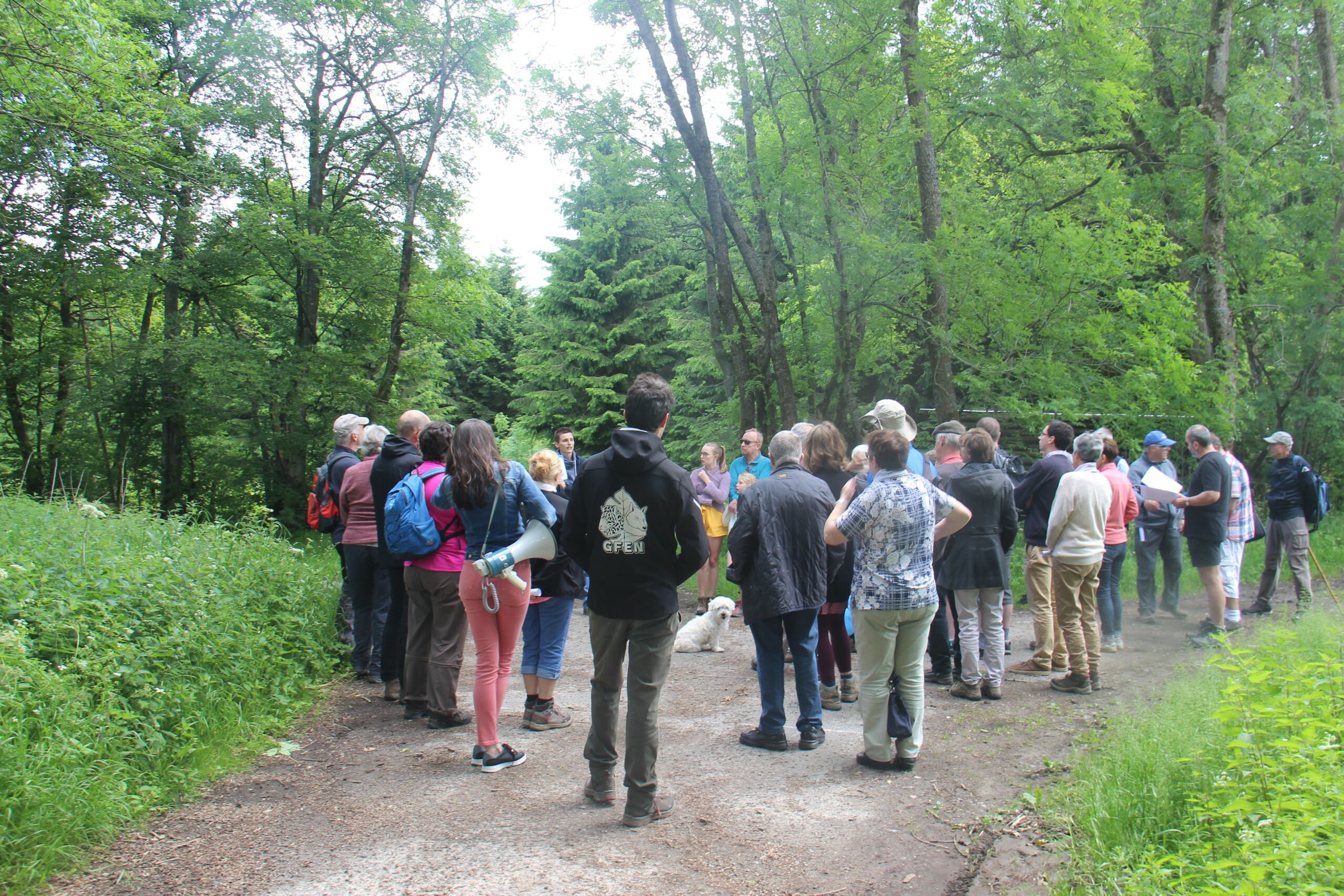 La forêt de Logbiermé, regards croisés sur un paysage.