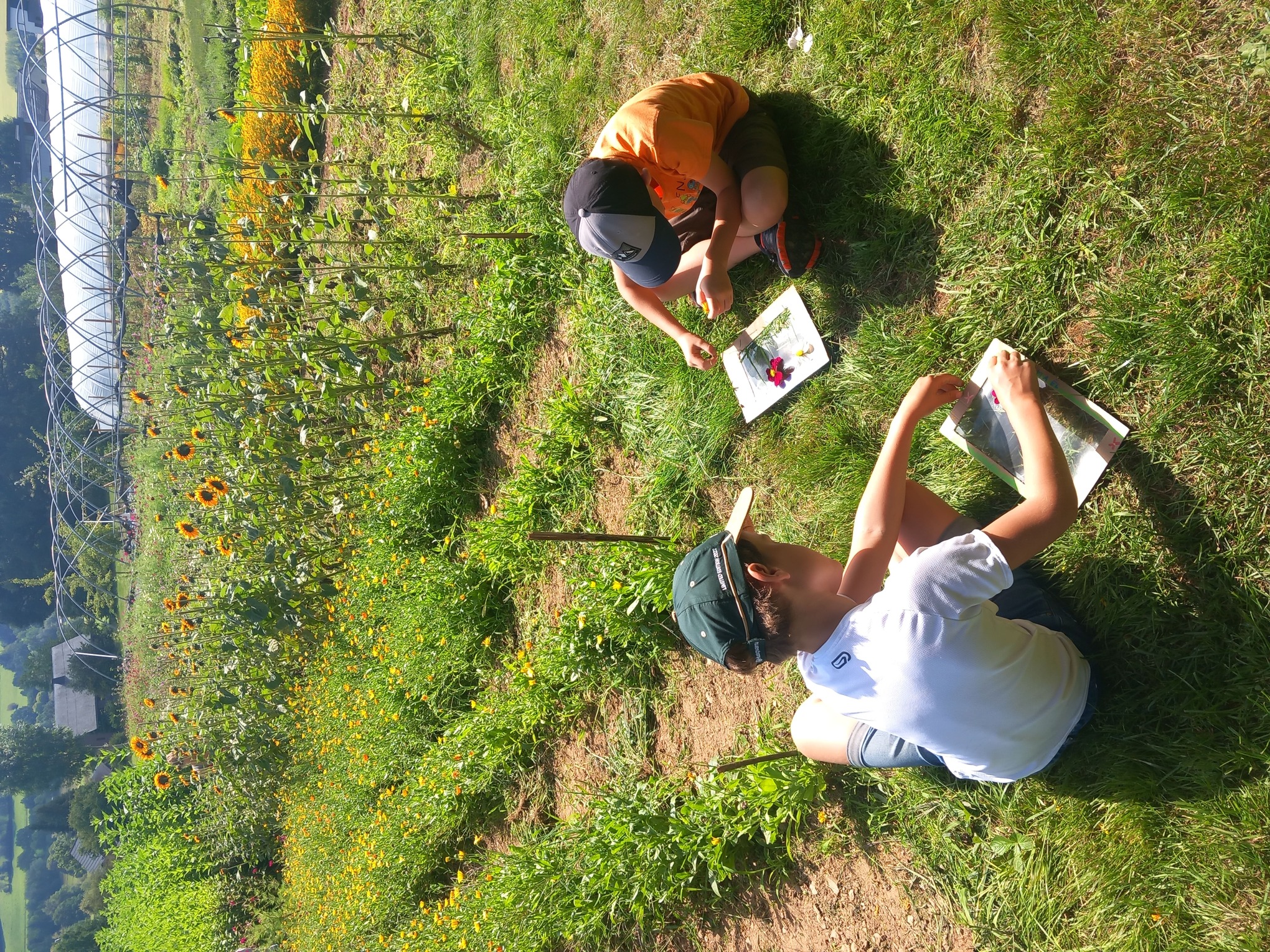 Activité parent/enfant à la Framboiserie