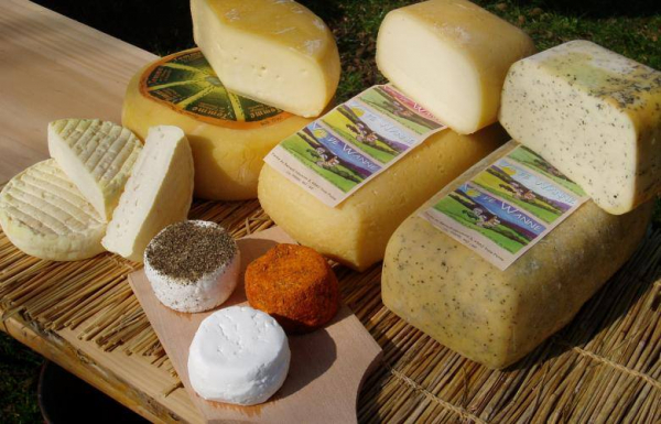 Promos sur les fromages de notre région !